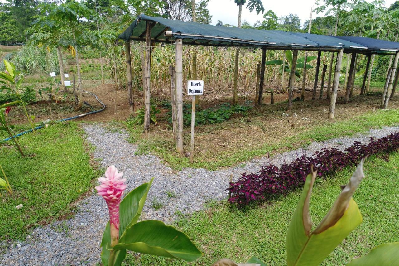 Hope Garden, Sarapiqui, We Connect You With The Sarapiqui Tropical Forest Exterior foto