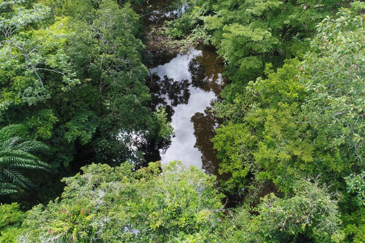 Hope Garden, Sarapiqui, We Connect You With The Sarapiqui Tropical Forest Exterior foto